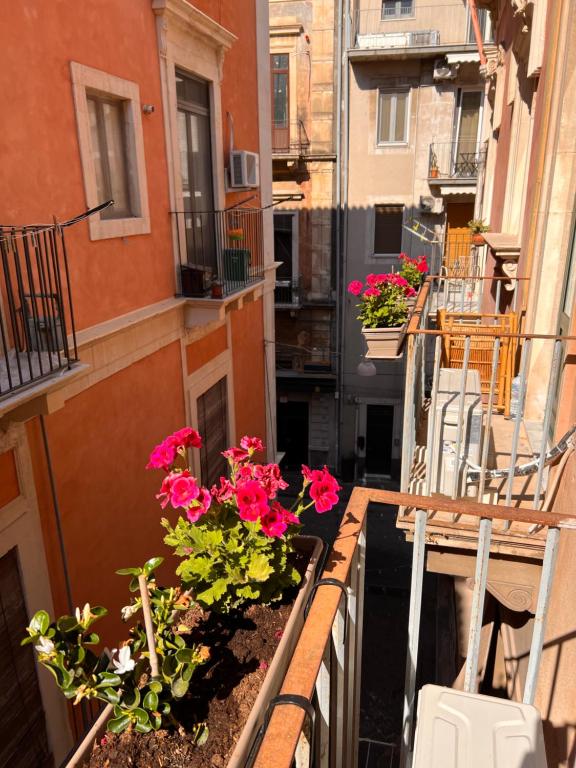 A balcony or terrace at Welcome Catania
