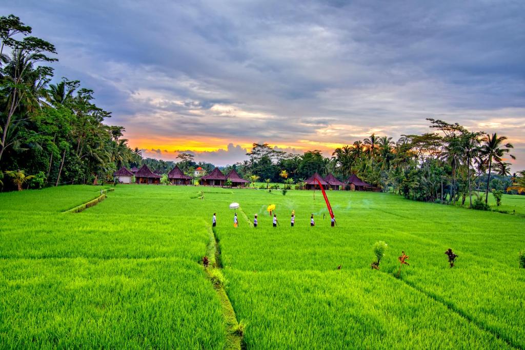 Zahrada ubytování Intan Villa & Suite Ubud