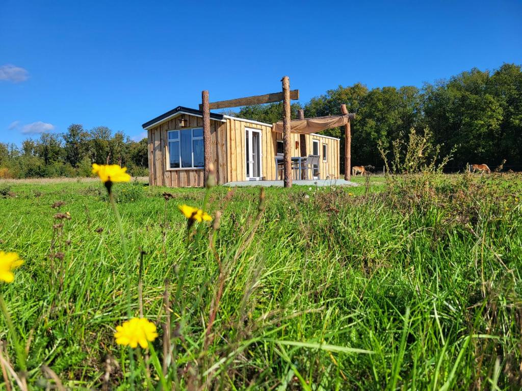 una casita en un campo con flores amarillas en Hoeve Twente - Oeverzwaluw en Heythuysen