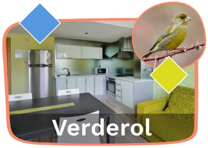 A kitchen or kitchenette at Ornis Apartments Platja