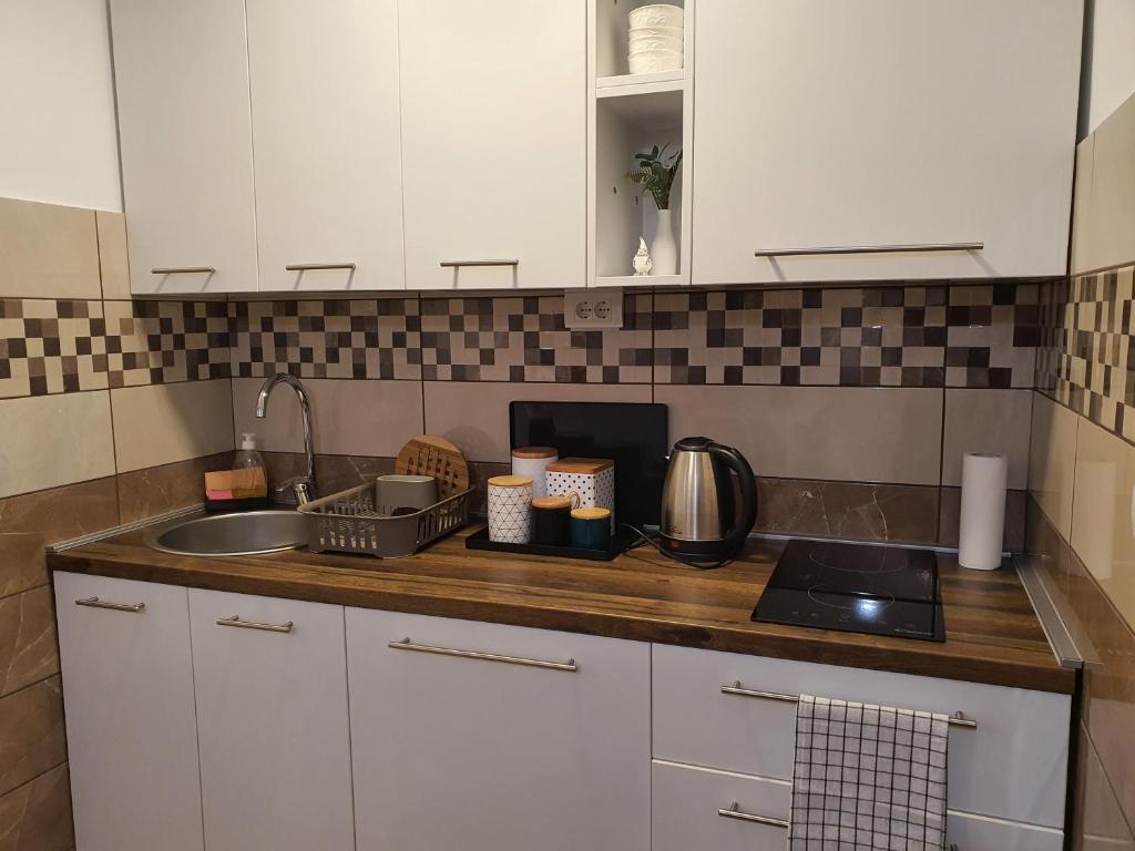 Kuchyň nebo kuchyňský kout v ubytování Apartman NEDA Zlatar