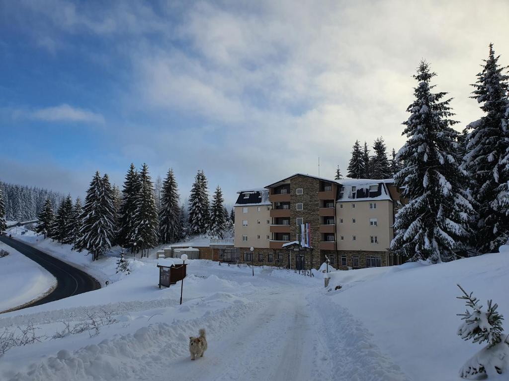 Apartman NEDA Zlatar v zimě