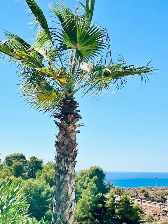 Sea Hills semidetached Luxury Villa, Finestrat – Updated 2023 ...