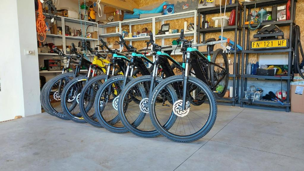 Attività di ciclismo presso il bed & breakfast o nelle vicinanze