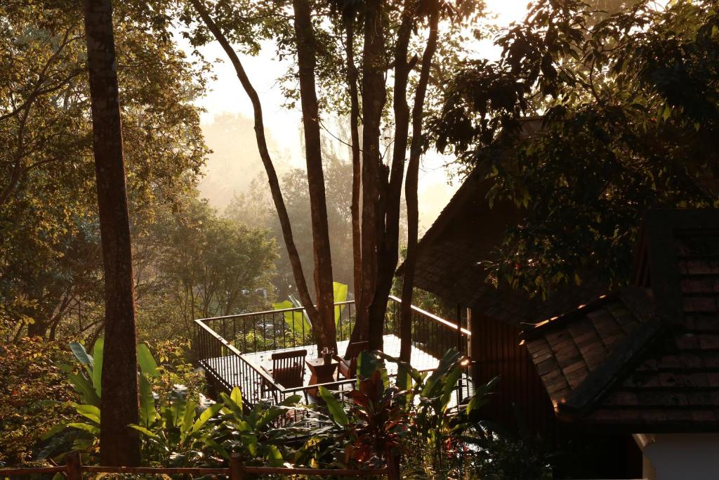 une maison dans une forêt avec des arbres et des escaliers dans l'établissement Vanilla hill (hill lodge), à Ban Muang Ha