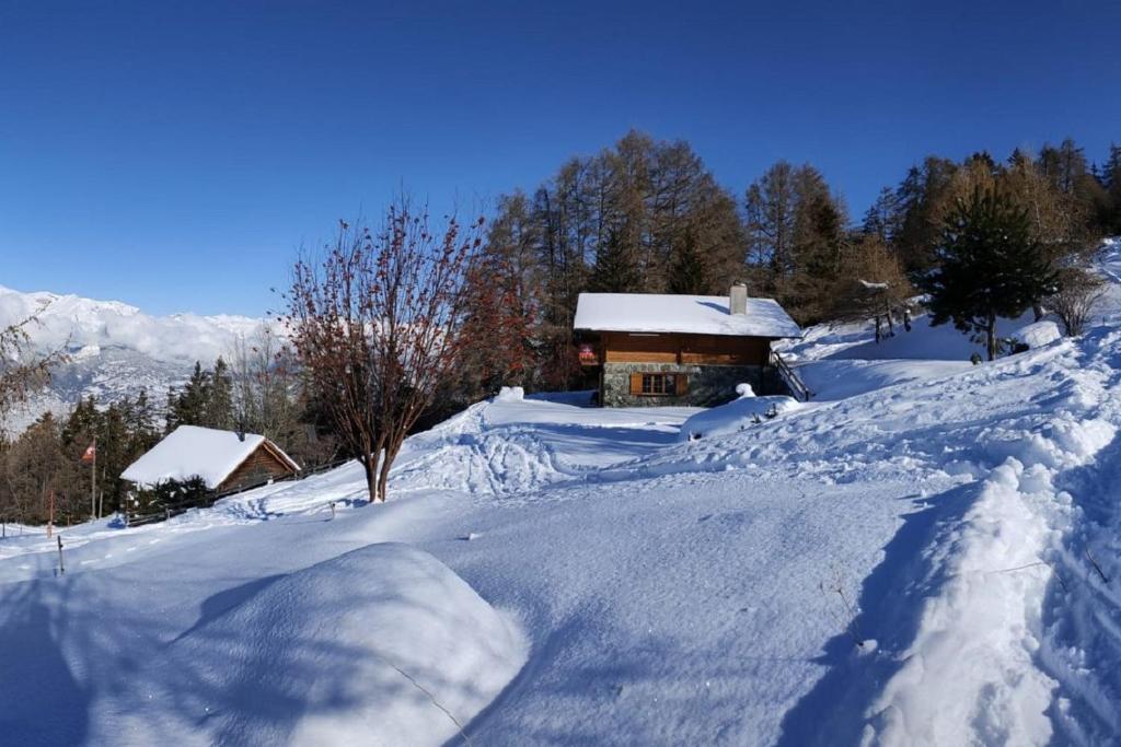 ein schneebedecktes Haus vor einer Straße in der Unterkunft Belle Vie sur les pistes in Veysonnaz