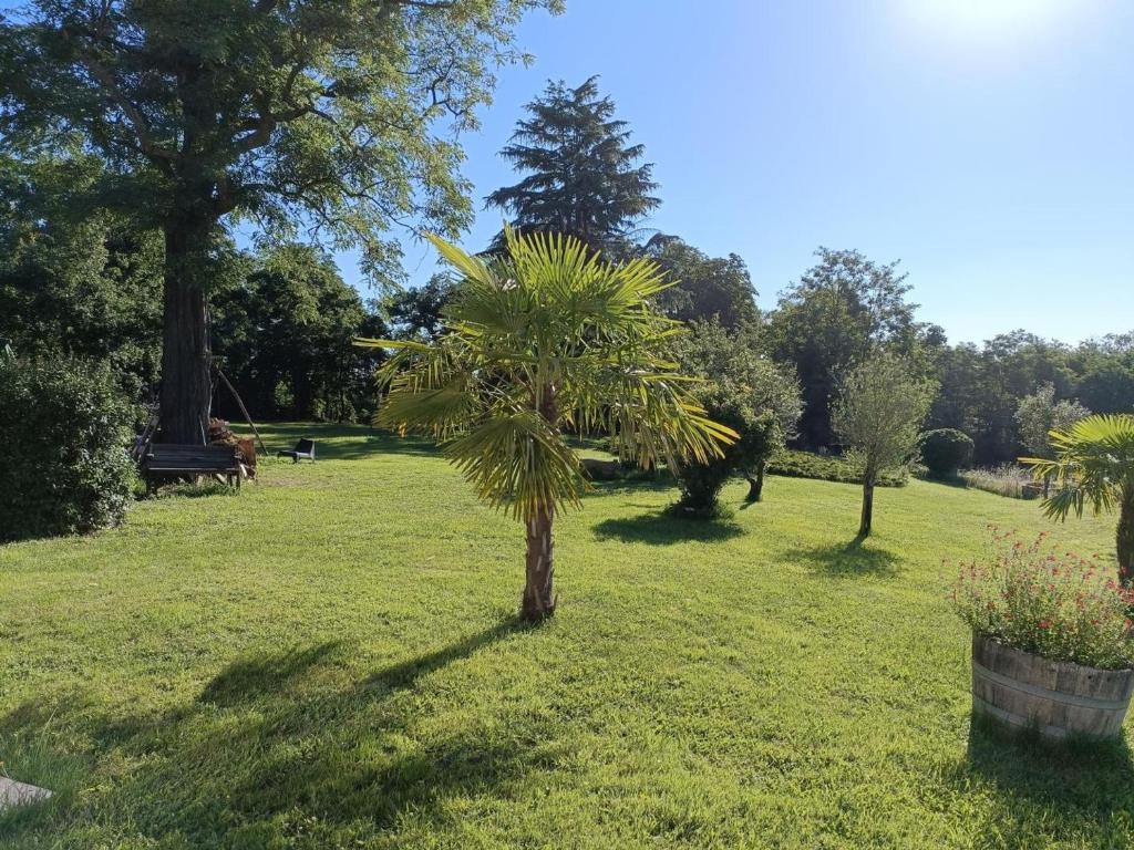 Vonkajšia záhrada v ubytovaní Charmant gîte avec piscine partagée, terrasse et parking privé à deux pas de Moulins - FR-1-489-373