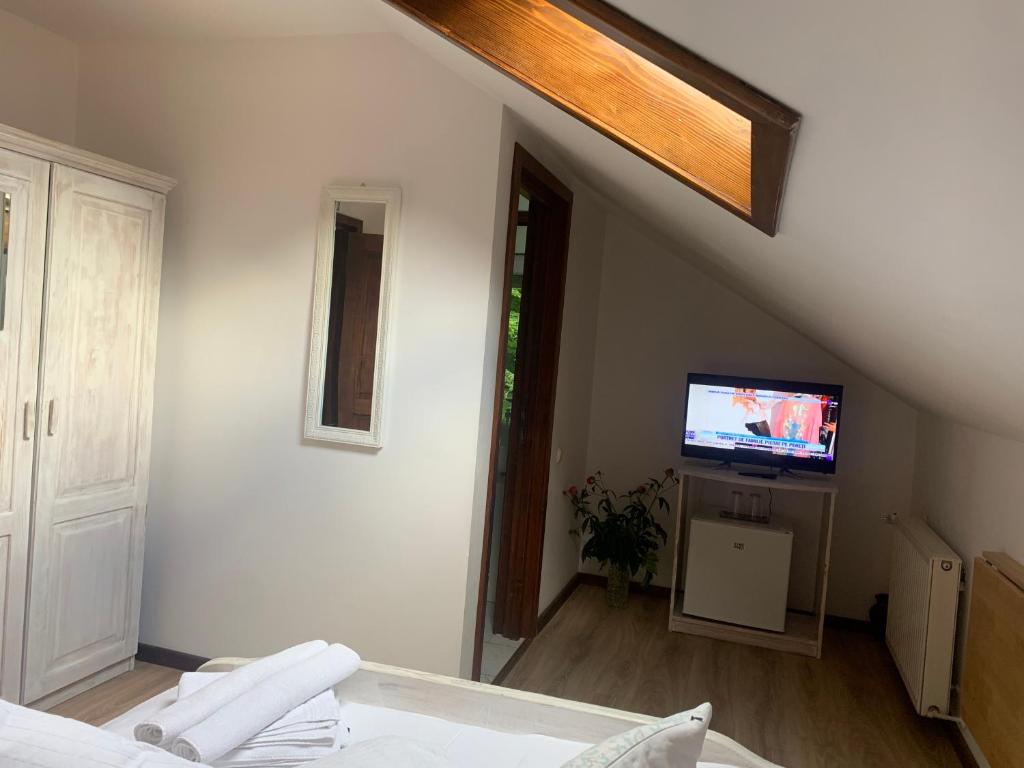 TV a/nebo společenská místnost v ubytování Vila Thomas