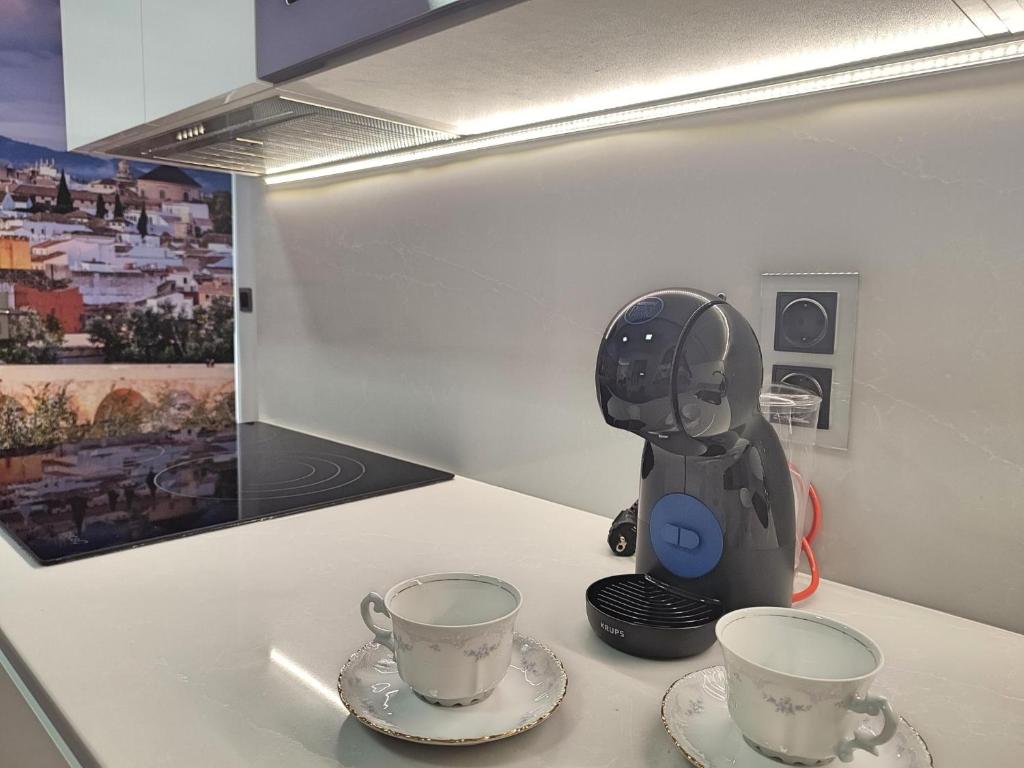 Fotografie z fotogalerie ubytování Victoria Cordoba Center v destinaci Córdoba