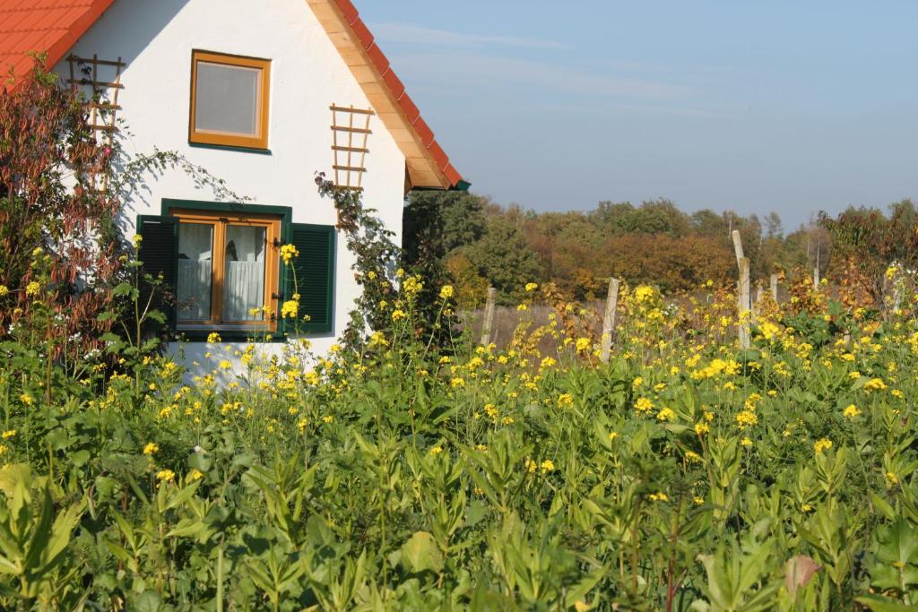 A garden outside Urlaub am Kinispa