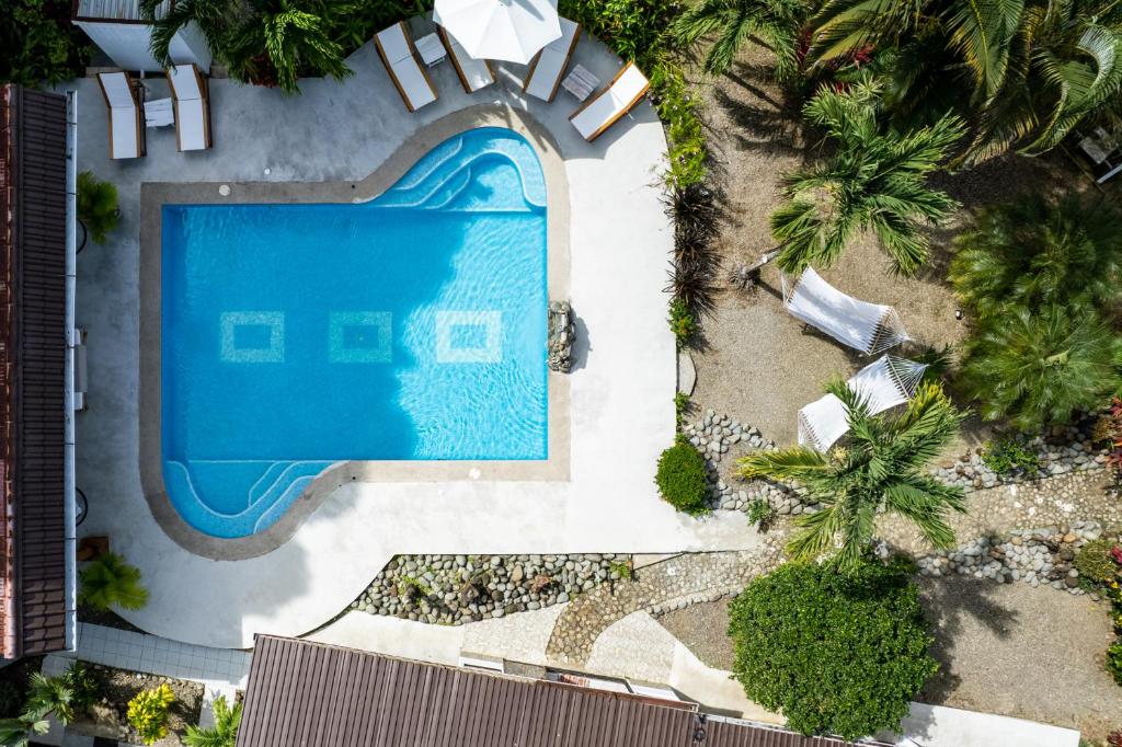 an overhead view of a swimming pool at a resort at Tribe Boutique Hotel - Adults Only in Dominical