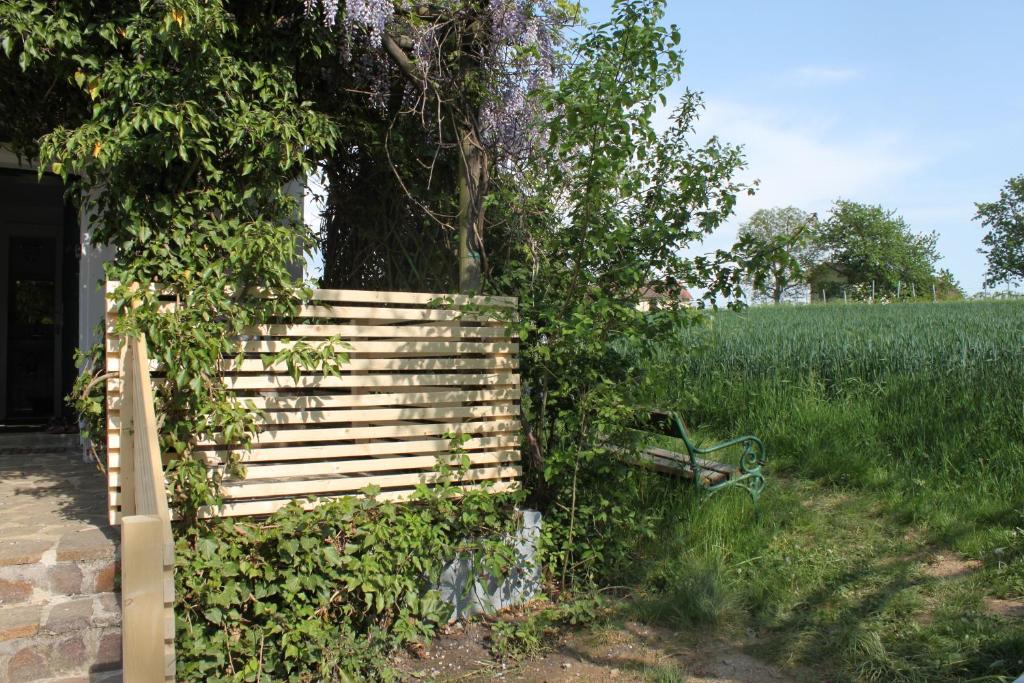 A garden outside Urlaub am Kinispa