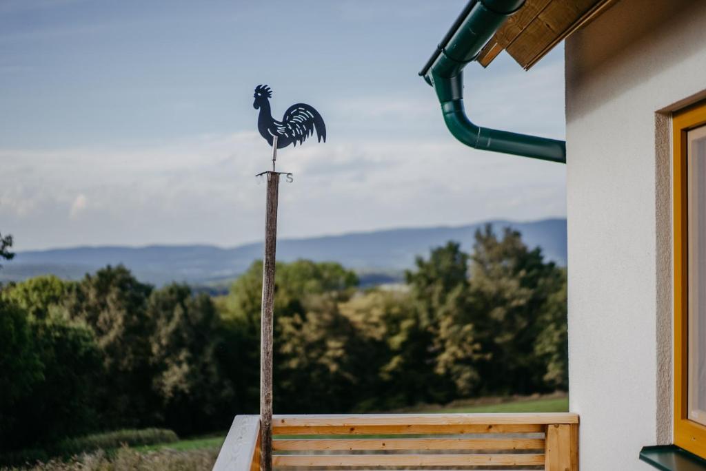 Táj Show holiday homes közelében