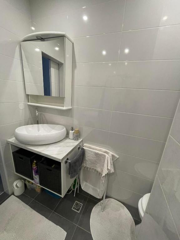 Koupelna v ubytování Studio Apartman Ante