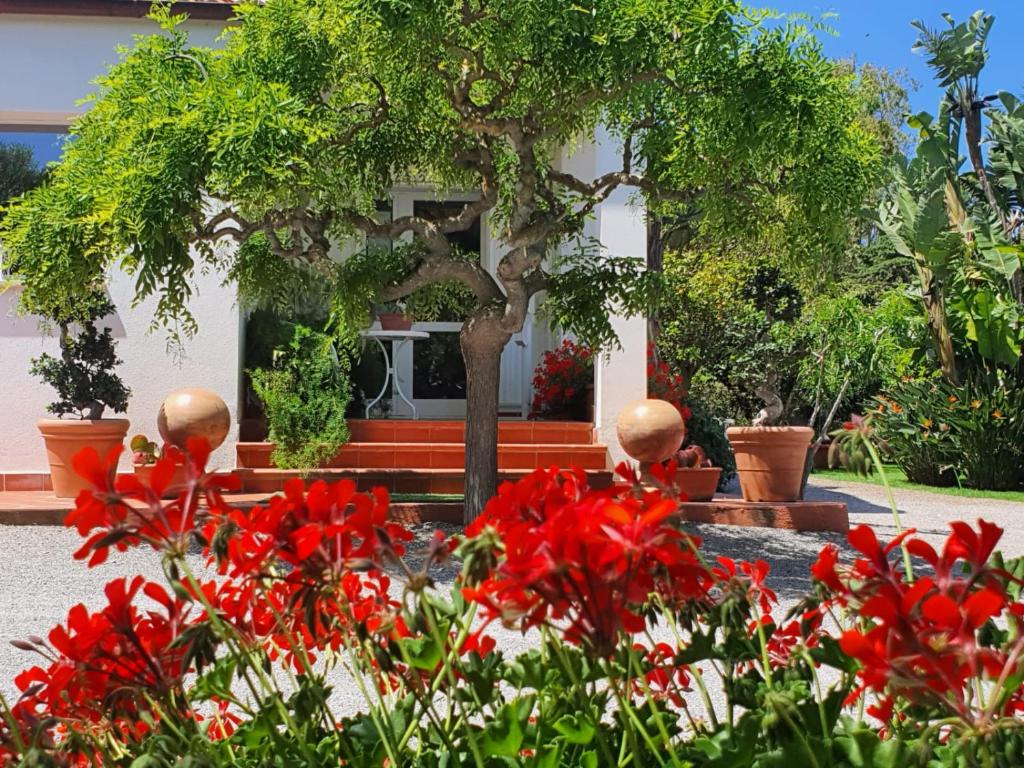 a garden with red flowers in front of a house at Arenosu Comfort Country Resort in Fertilia