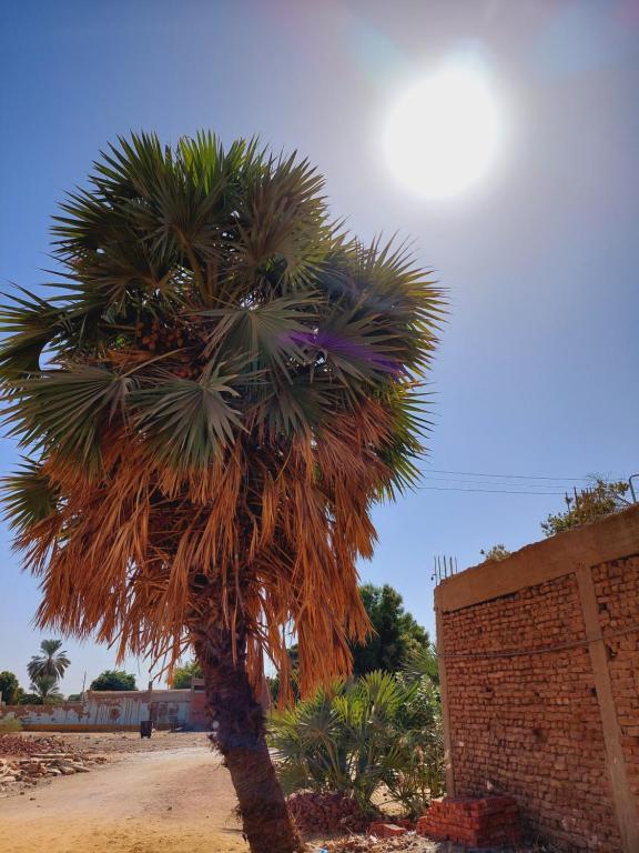 Fotografie z fotogalerie ubytování Mostafa guesthouse v destinaci Najâ€˜ al MadÄbb