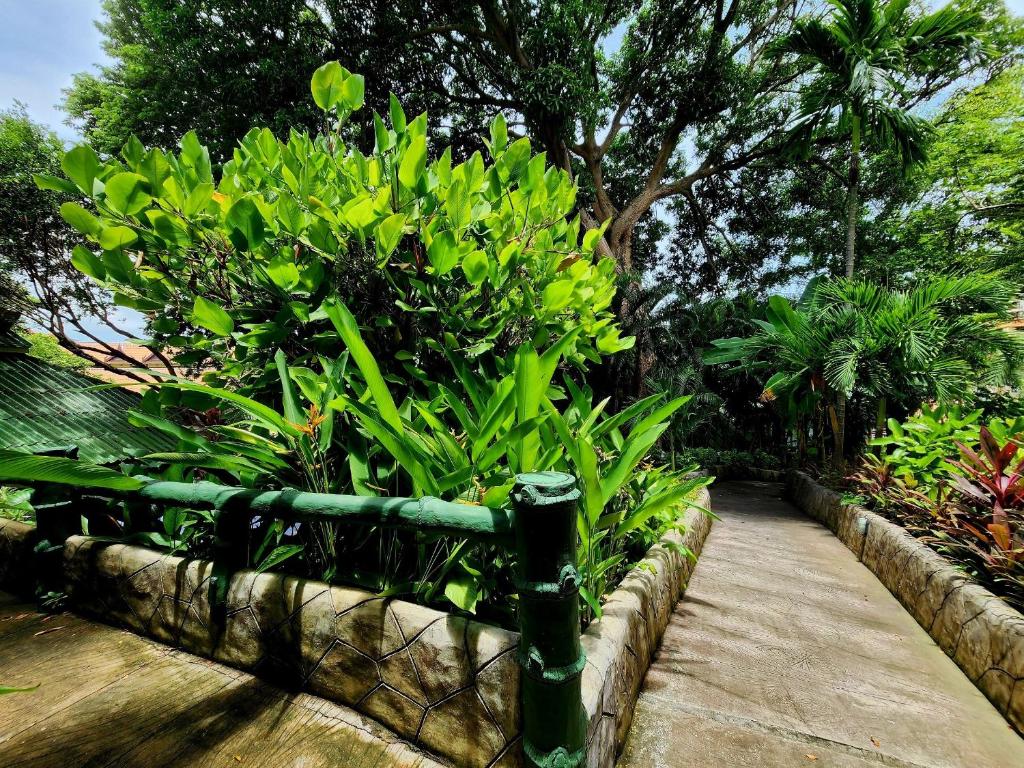 Zahrada ubytování Kata Garden Resort SHA Extra Plus