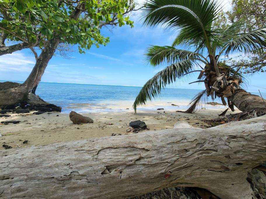 uma praia com uma palmeira e o oceano em Maddy's House em Maatea