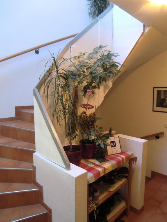 Fotografie z fotogalerie ubytování Haus Rye B&B v Obertraunu