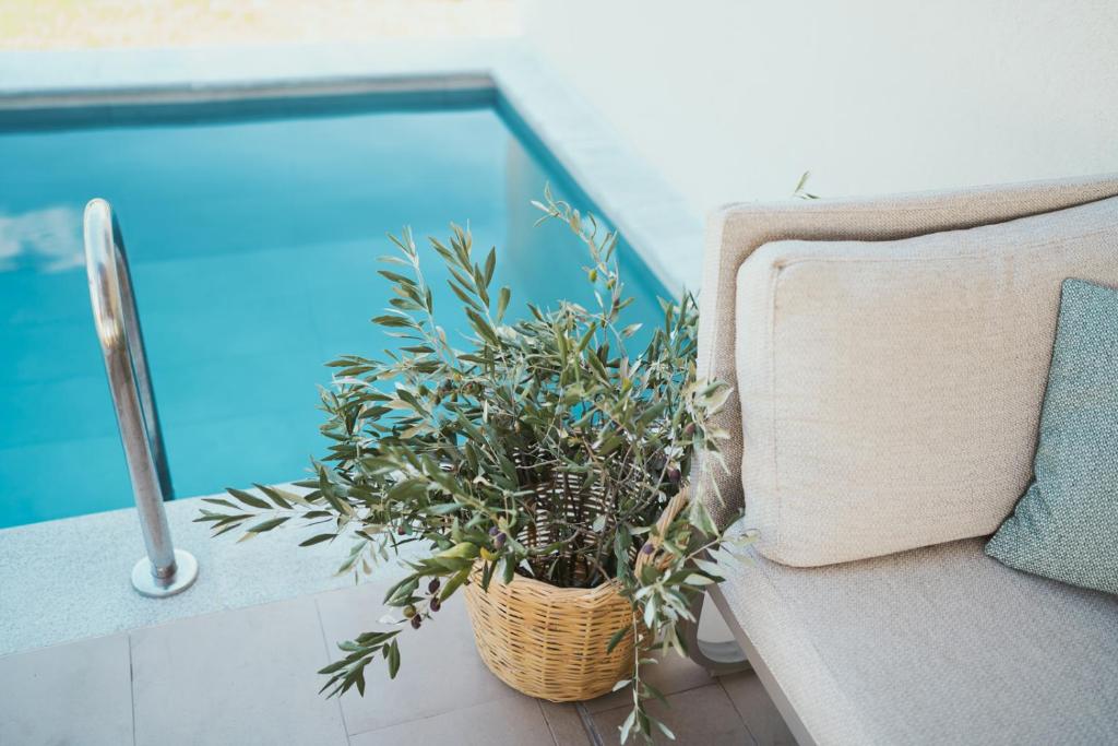 Bazén v ubytování Magnolia Villas Thassos nebo v jeho okolí