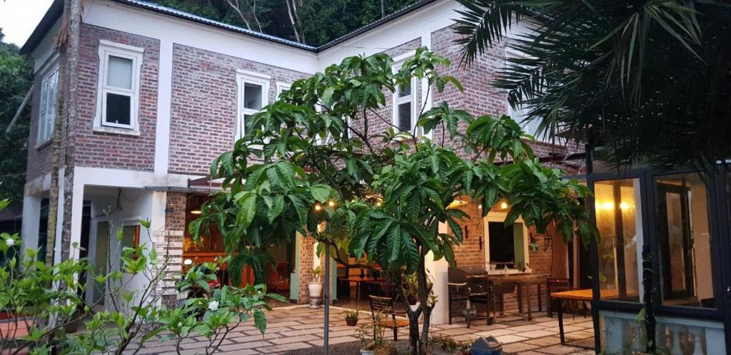 a house with a tree in front of it at 2Stones Cát Bà Homestay in Cat Ba