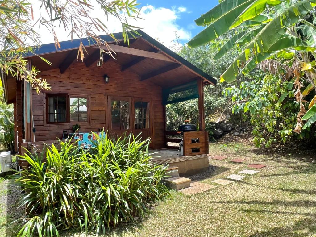 eine kleine Holzhütte mit einer Veranda und einem Grill in der Unterkunft L'Ilot Zoizeaux in Les Avirons