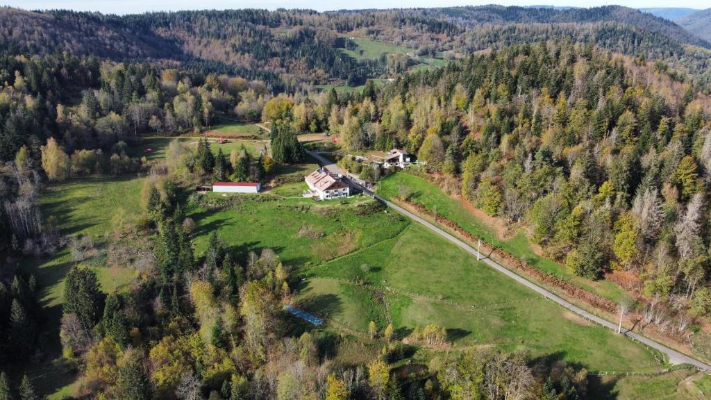 Vue aérienne d'une maison au milieu d'une forêt dans l'établissement Auberge du Grammont, à Ramonchamp