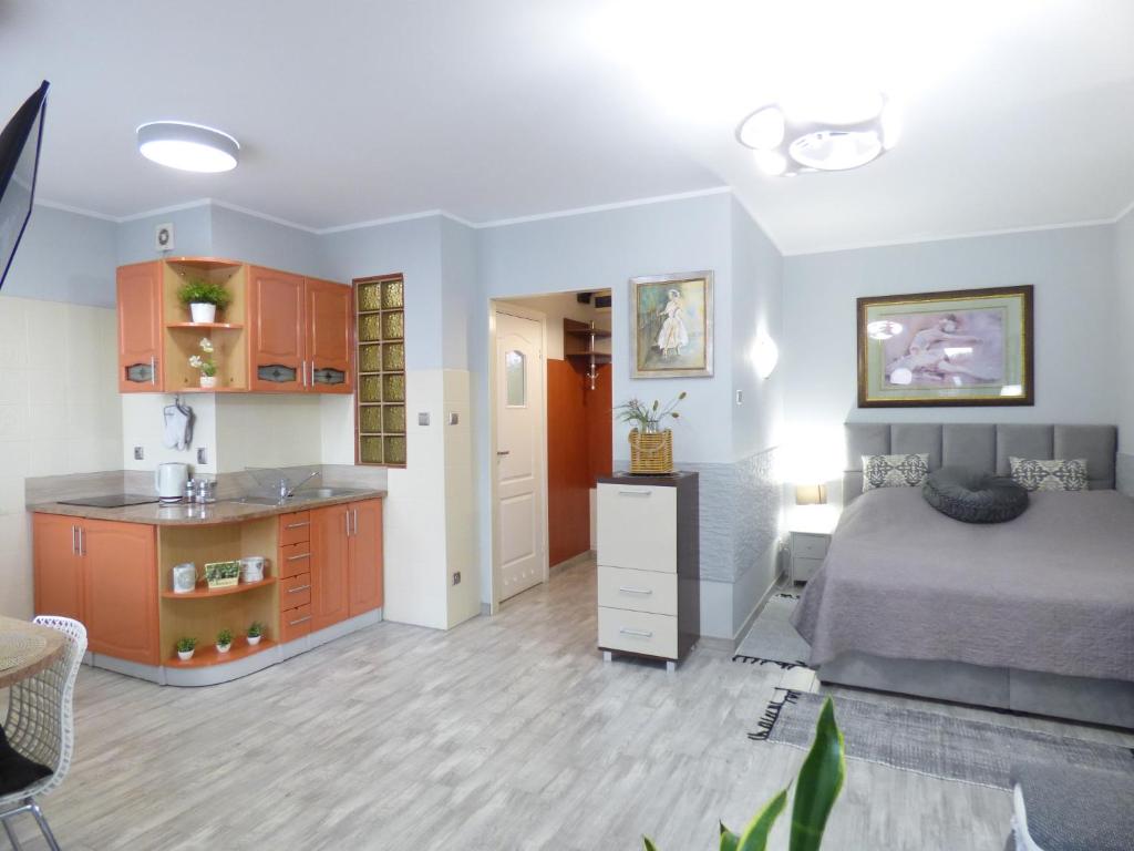 コウォブジェクにあるApartamenty Albatros ALBの小さなベッドルーム(ベッド1台付)、キッチンが備わります。