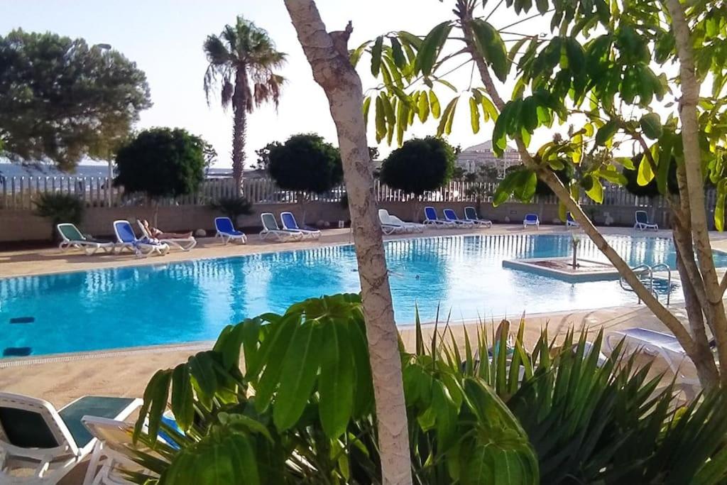 una piscina con sillas y palmeras en Casa de Playa Sol Y Mar, en El Médano