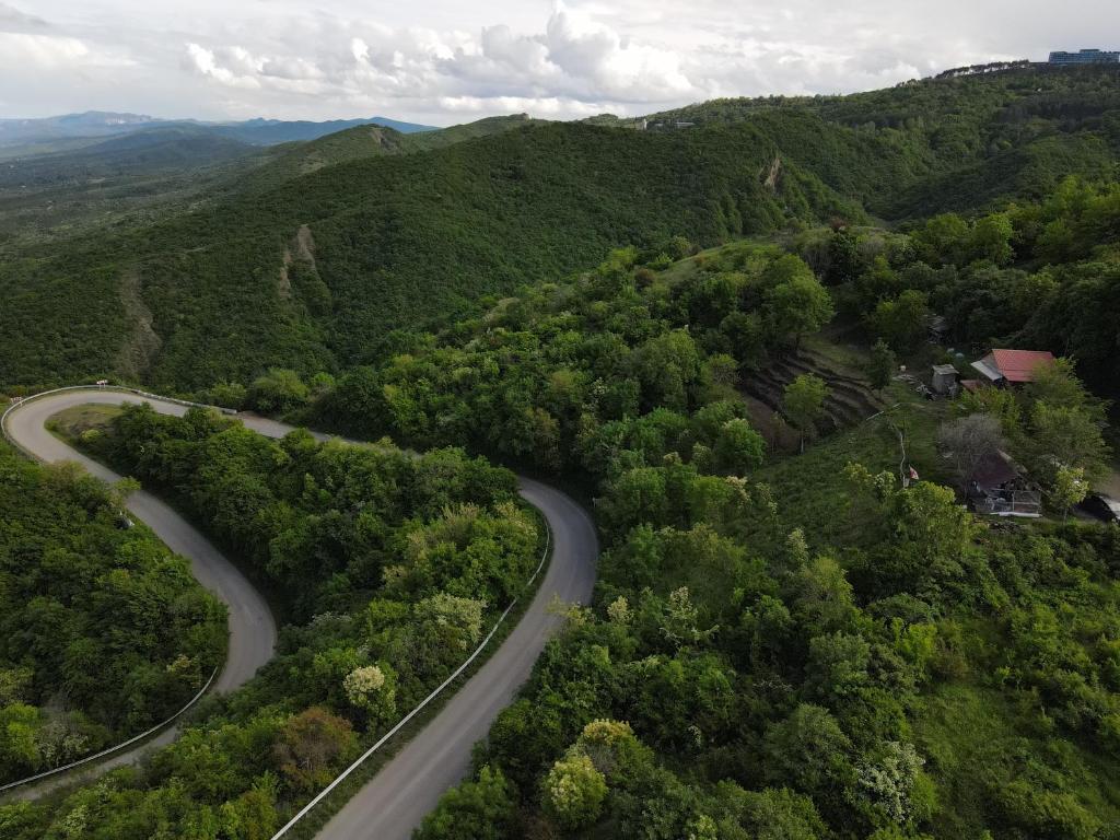 Příroda nedaleko apartmánu