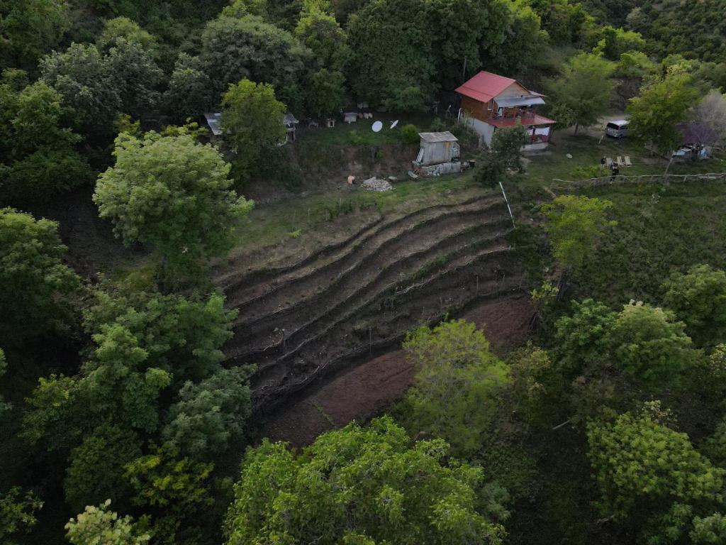 Příroda nedaleko apartmánu