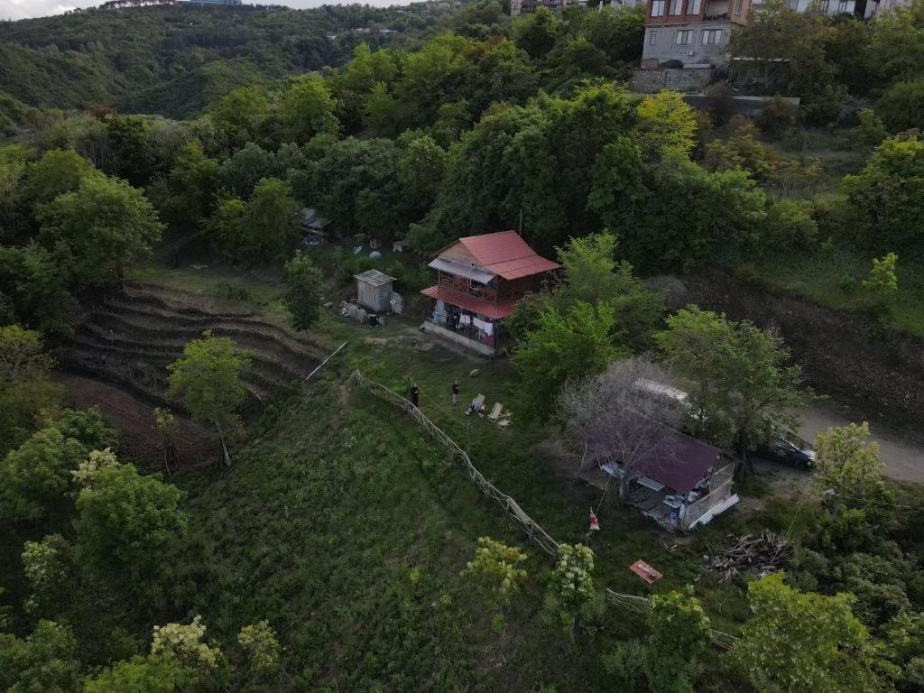 Příroda nedaleko apartmánu