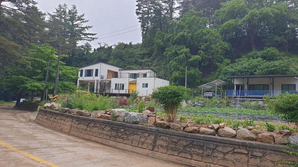 Jeongseon Pine Careville - Housity