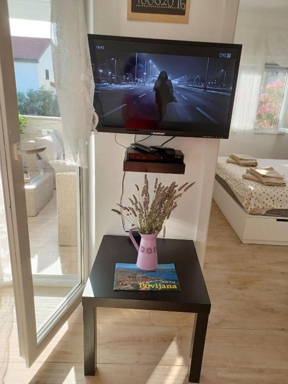 TV a/nebo společenská místnost v ubytování Apartments Sava