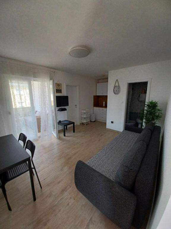 TV a/nebo společenská místnost v ubytování Apartments Sava