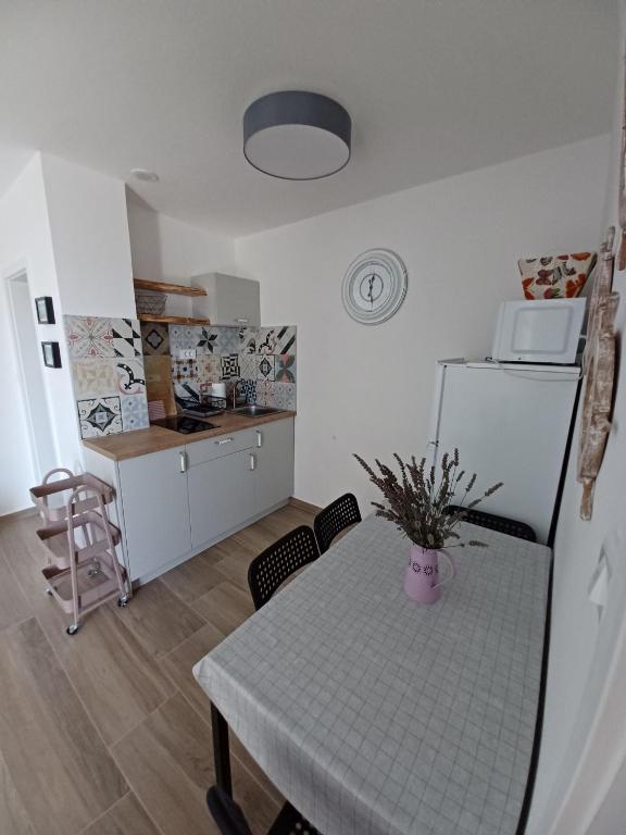 Kuchyň nebo kuchyňský kout v ubytování Apartments Sava