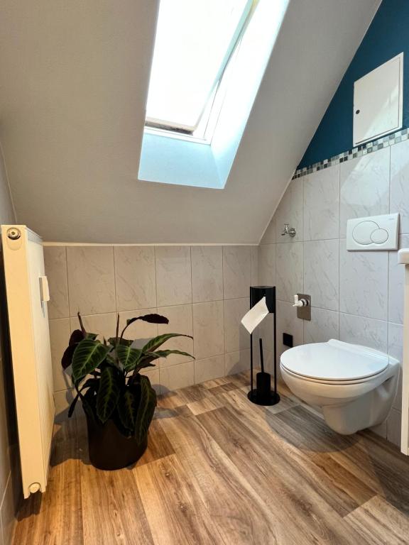 a bathroom with a toilet and a skylight at Himmlische Weite 3 in Schweinfurt