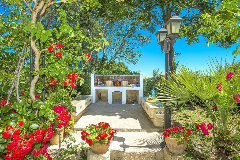 Zahrada ubytování Pollensa - 40788 Mallorca