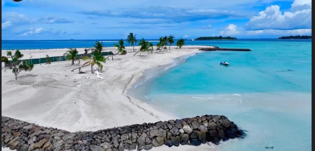 wyspa w oceanie z palmami na plaży w obiekcie Rangali Etos Guraidhoo w mieście Guraidhoo