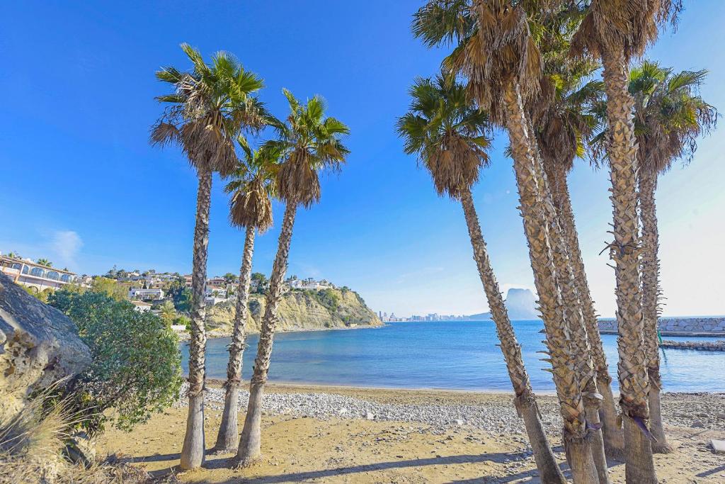 un gruppo di palme su una spiaggia di Apartamento Felicidad - PlusHolidays a La Canuta