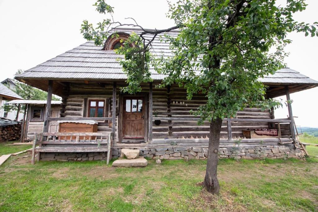 an old log cabin with a tree in front of it at Casa din deal in Baia-Sprie