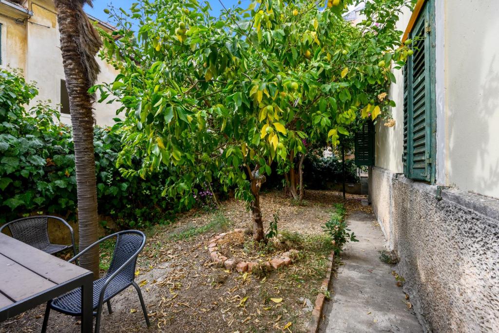 Vonkajšia záhrada v ubytovaní Apartment Sinjorina Leticia