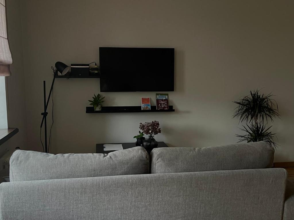 a living room with a couch and a flat screen tv at Riga RiverPark - One-Bedroom Apartment Near Downtown in Rīga