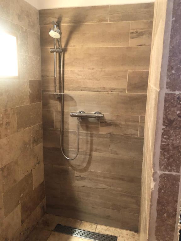 a shower in a bathroom with a wooden wall at Amazing view in Eygliers