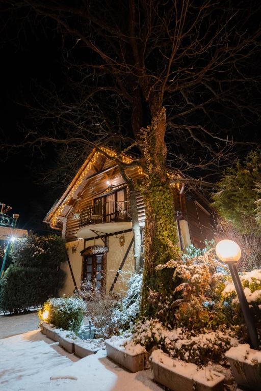 Villa Garden Hotel v zimě