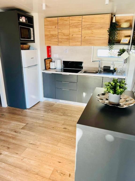 Kuchyňa alebo kuchynka v ubytovaní Villa Family Grand de Luxe Mobilhome