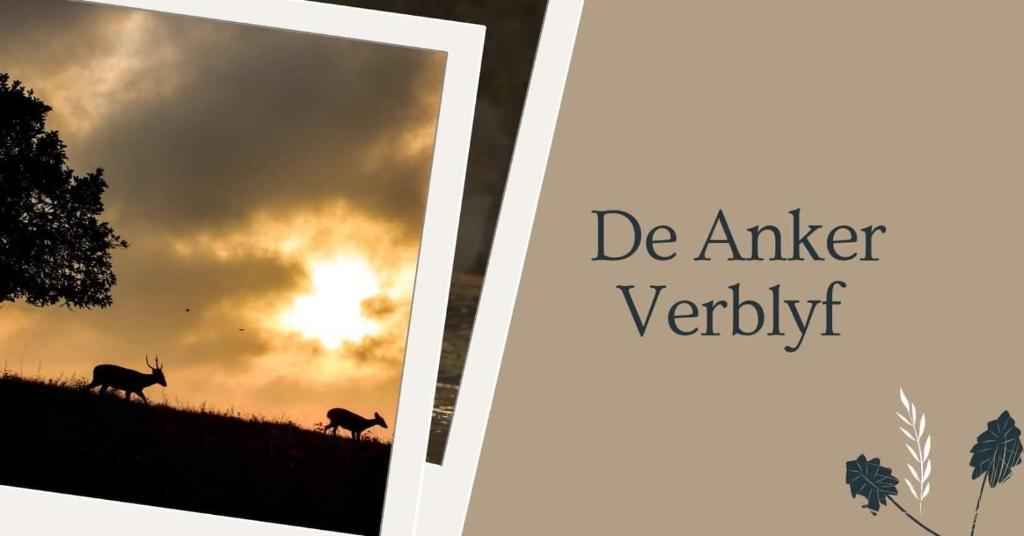 uma imagem de dois veados numa colina com o pôr-do-sol em De Anker Verblyf em Olifantshoek