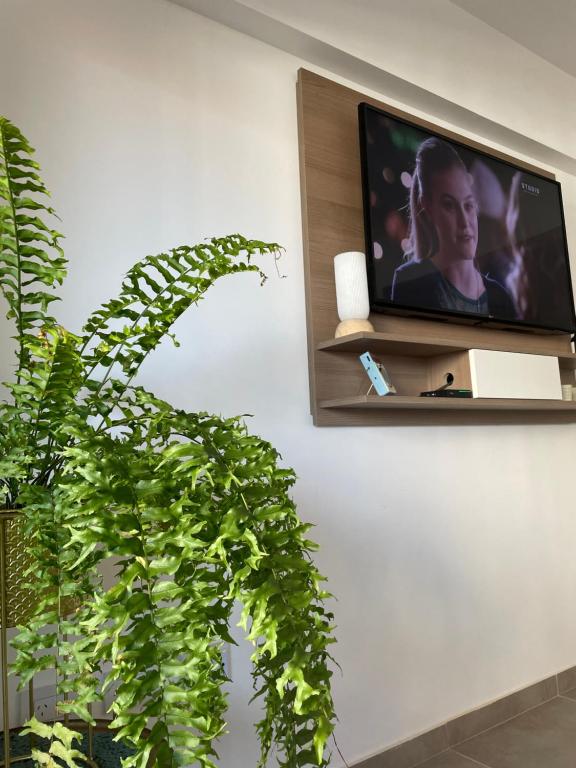 TV de pantalla plana en una pared con una planta en Ampio Balcone en Buenos Aires