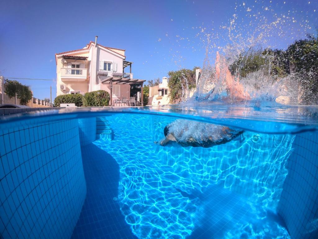 Bazén v ubytovaní Villa Ifigeneia Private Hot Tub Rooms alebo v jeho blízkosti