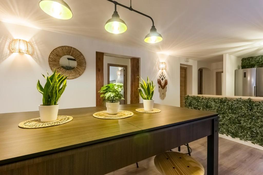 Santo - Coworking - Coliving - Madrid photo
